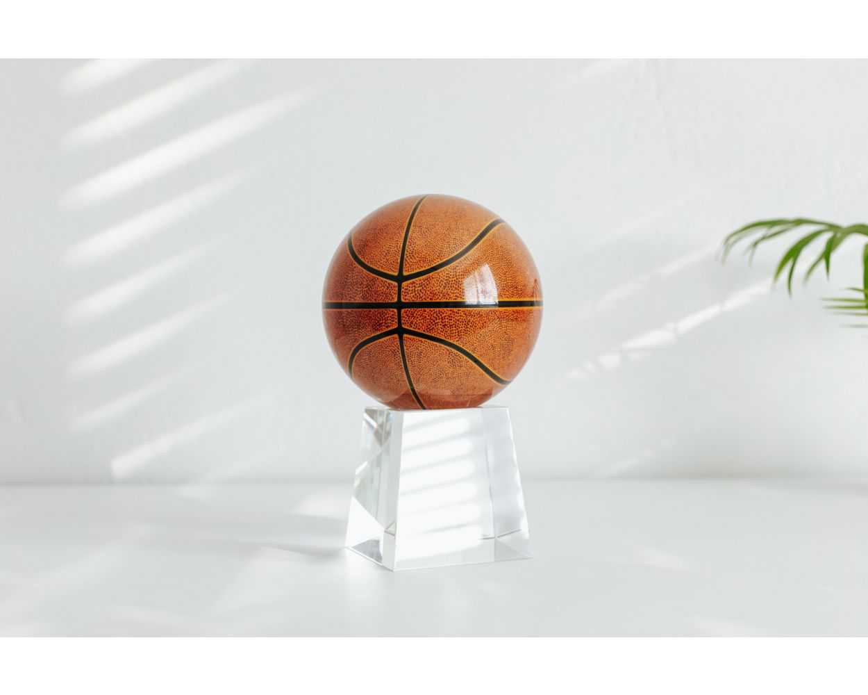 Basketball MOVA Globe