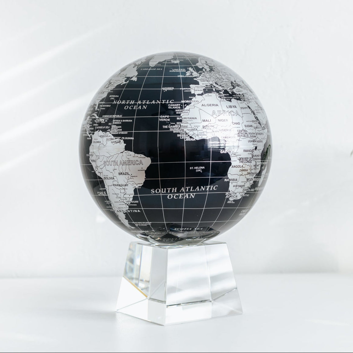 Black and Silver Globe