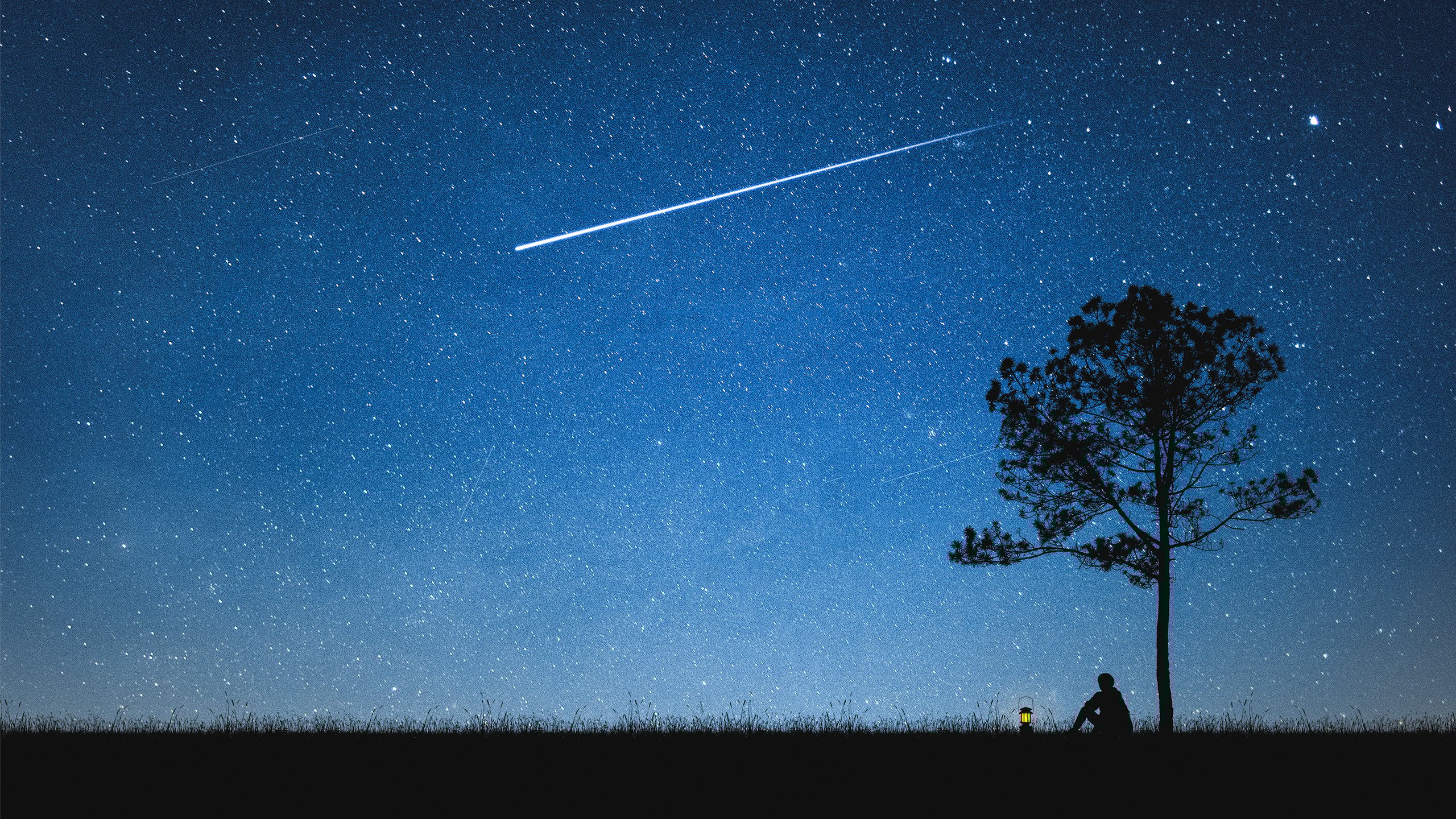 tales-of-the-night-sky-shooting-stars-constellations-and-celestial