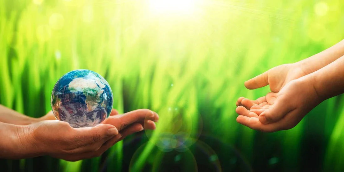 How to live an Eco-friendly Lifestyle