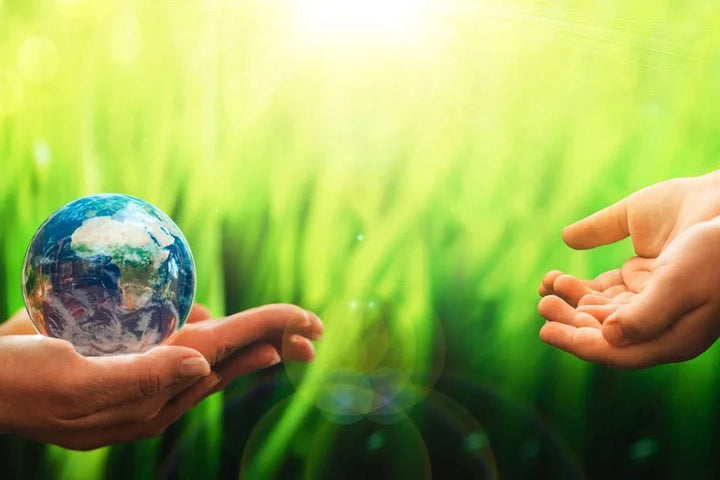 How to live an Eco-friendly Lifestyle