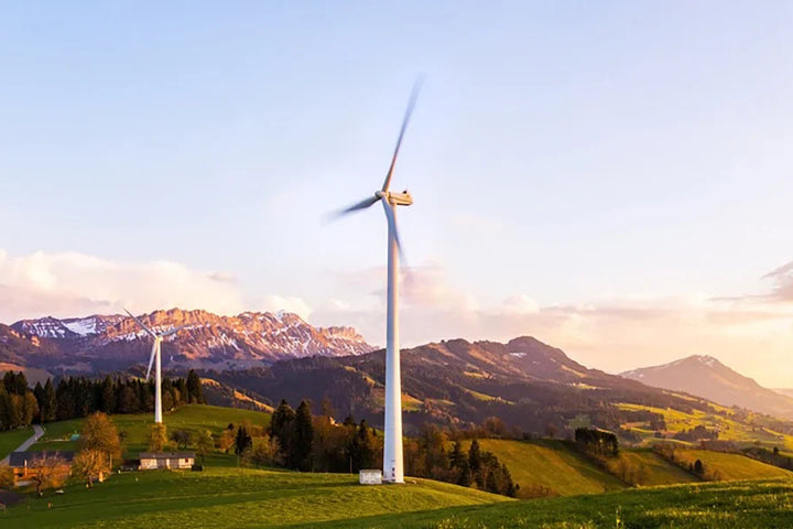 Eco-Friendly Trends Report: Spring Edition