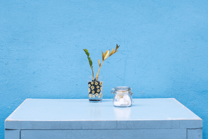 Top Décor Trends of 2019