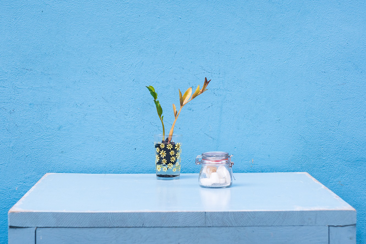 Top Décor Trends of 2019