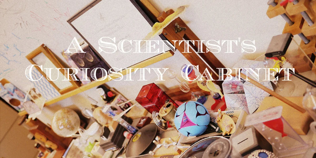 Toying with Science: Q&A with Ross Kelly