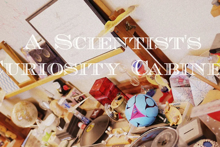 Toying with Science: Q&A with Ross Kelly