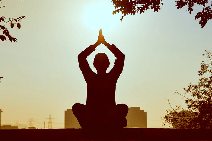 Workplace Meditation: Mindfulness for the Workhorse