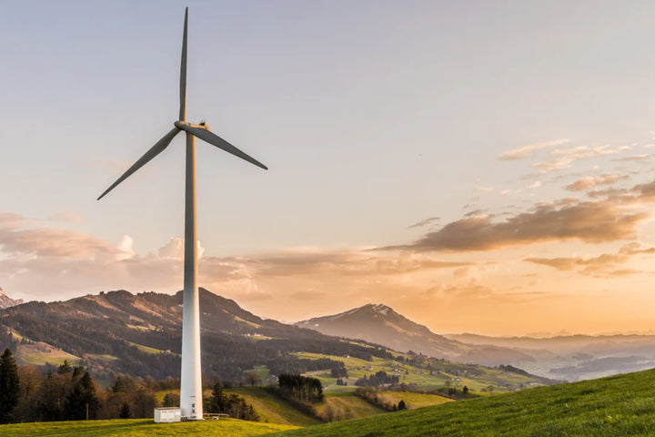 The 4 Biggest Eco-Trends of 2019