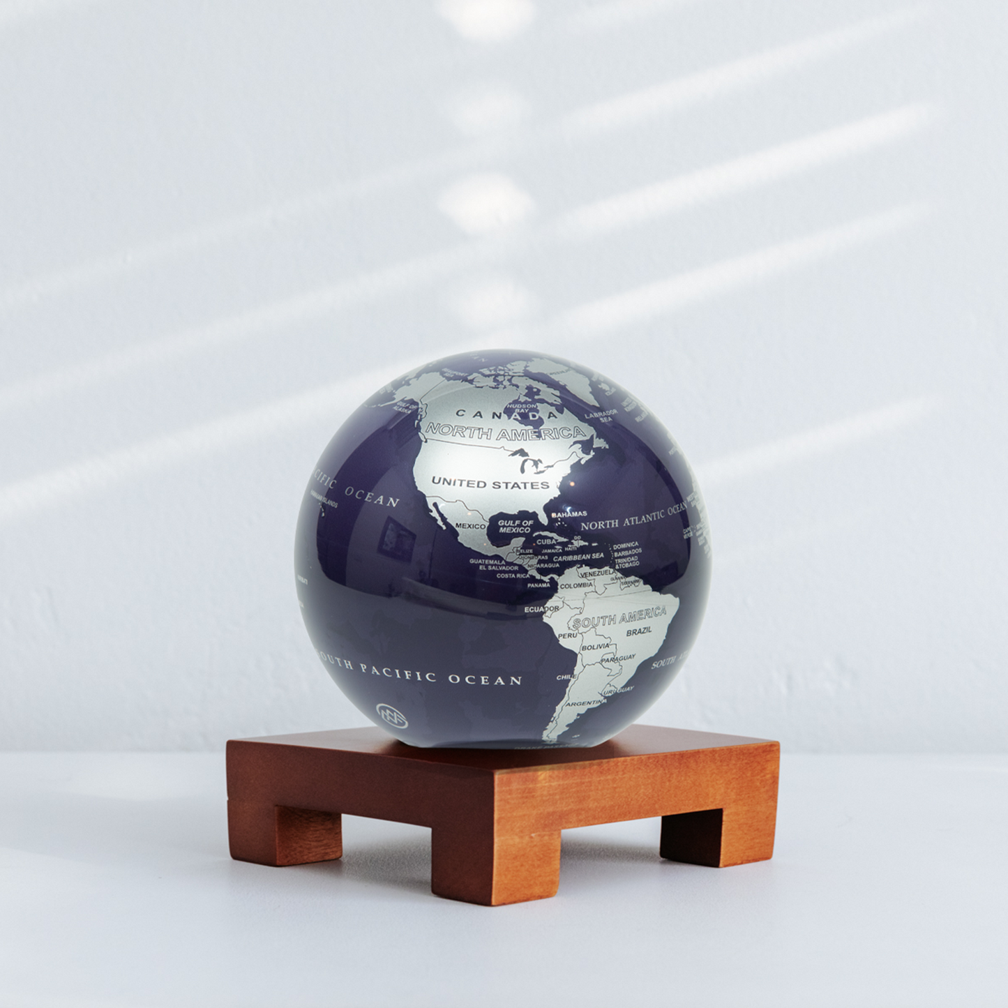 Purple and Silver Globe