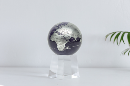 Purple and Silver Globe