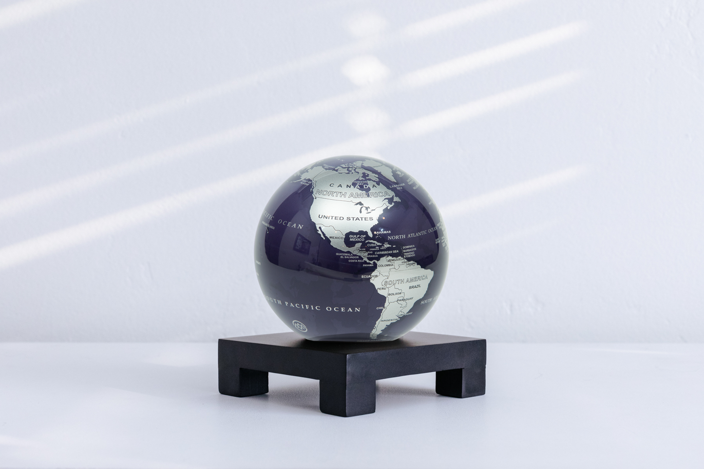 Purple and Silver Globe