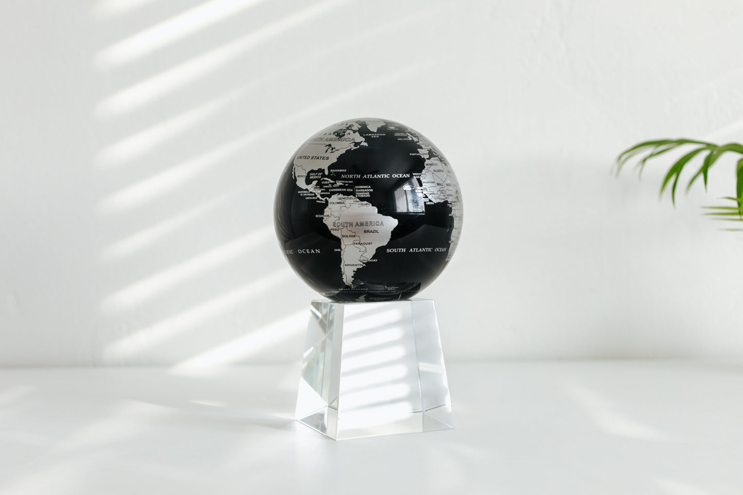 Black and Silver Globe