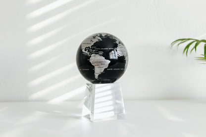 Black and Silver Globe