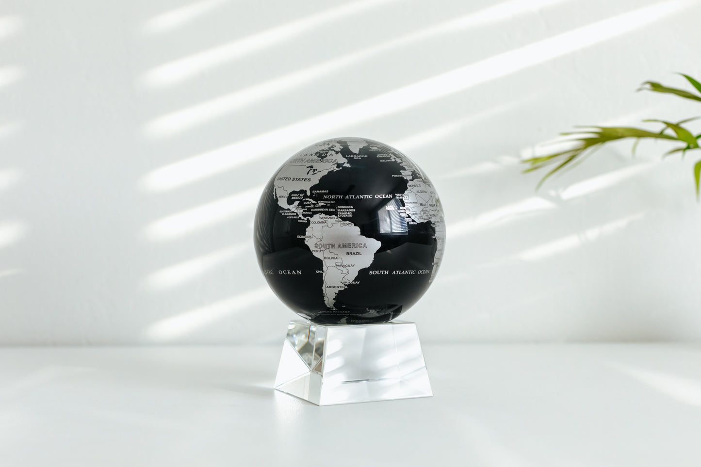 Black and Silver Globe