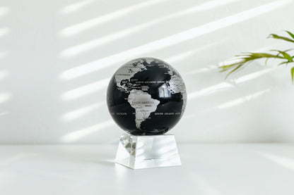 Black and Silver Globe