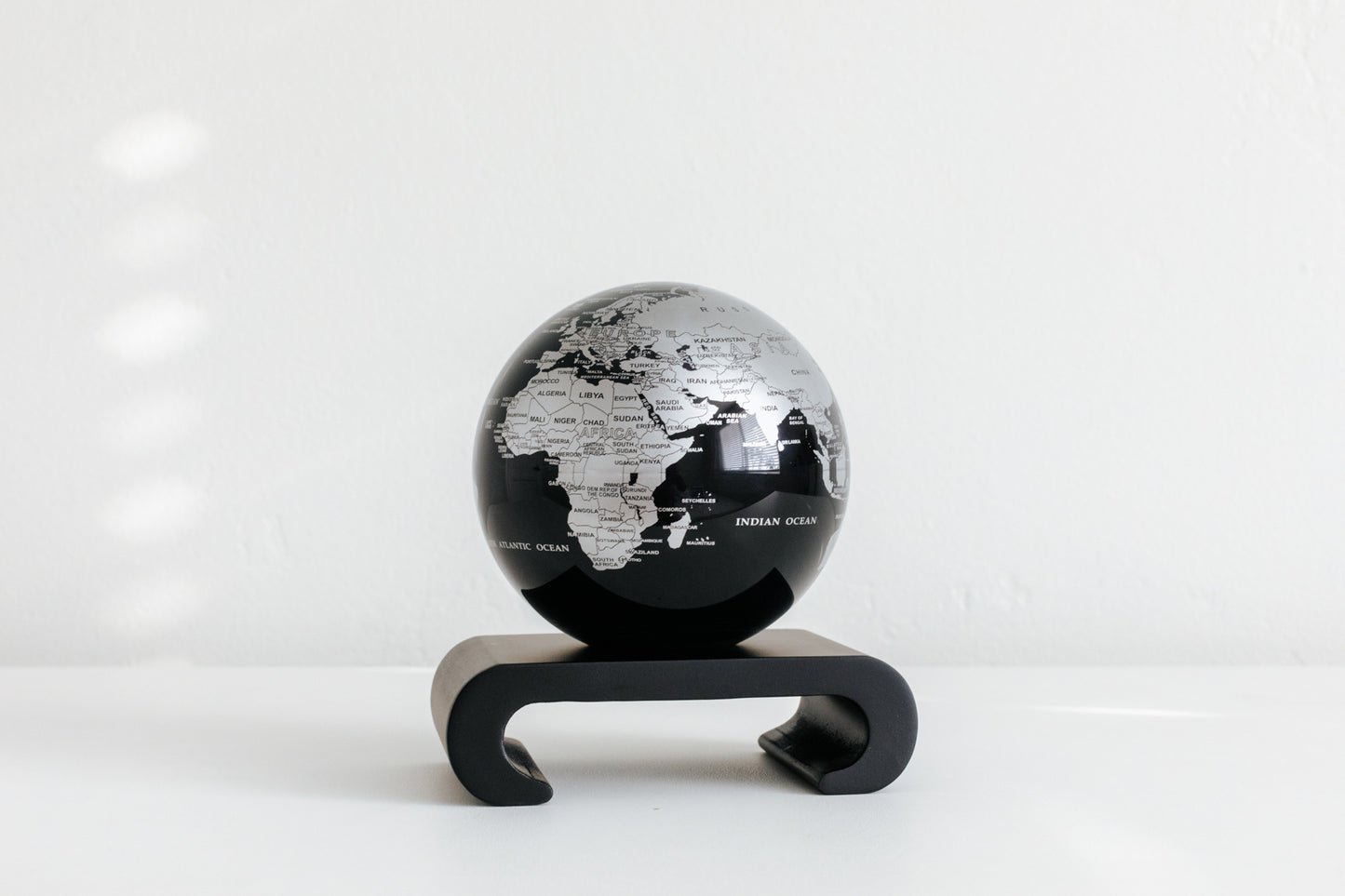 Black and Silver Globe