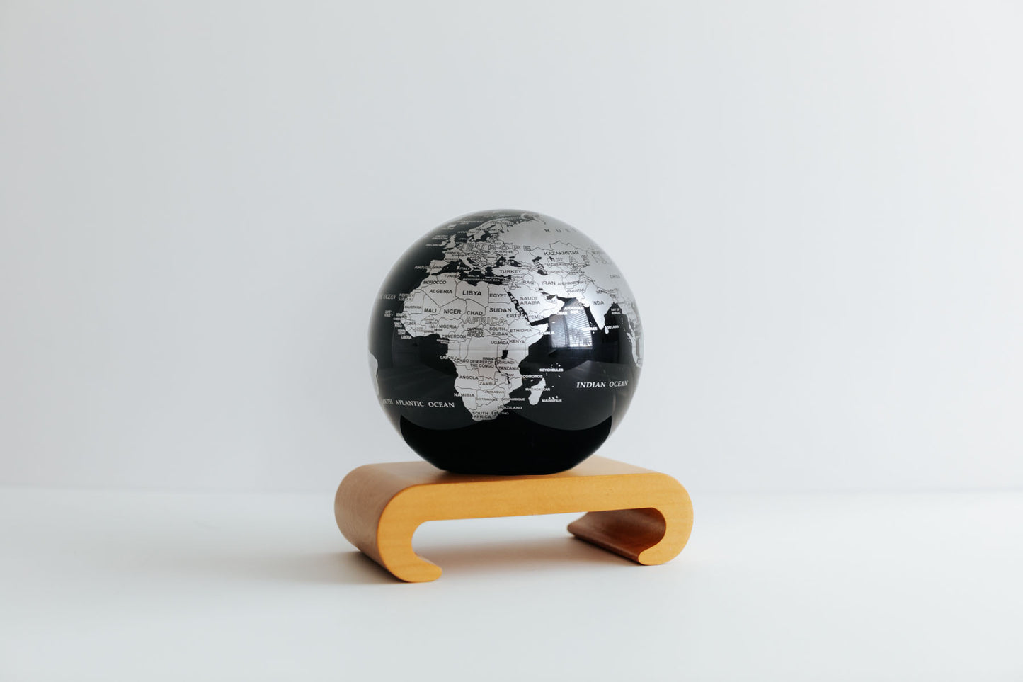 Black and Silver Globe