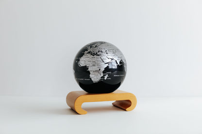 Black and Silver Globe