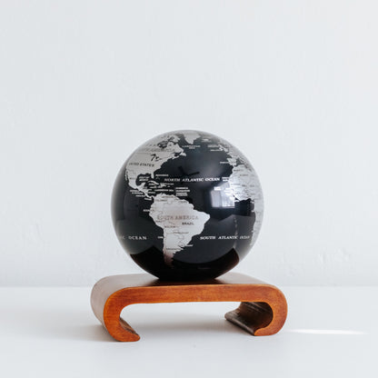 Black and Silver Globe