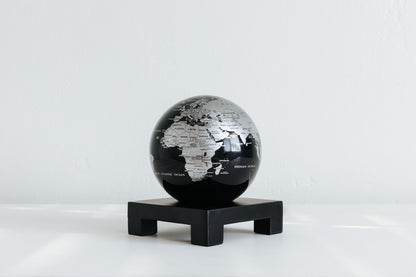 Black and Silver Globe