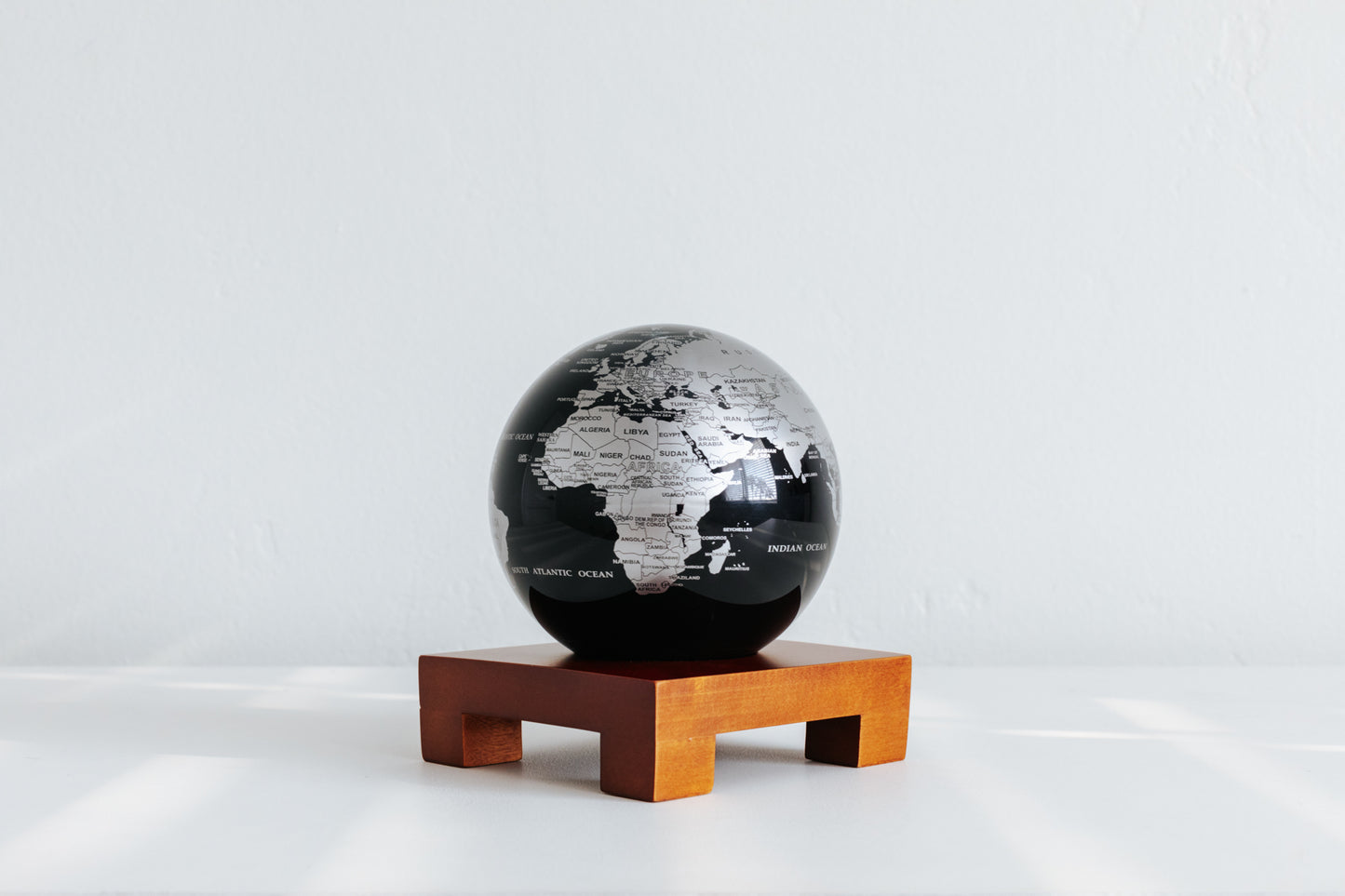 Black and Silver Globe