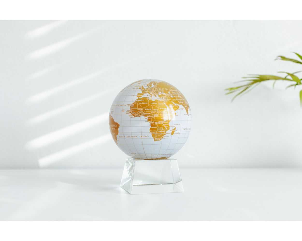 White and Gold Globe