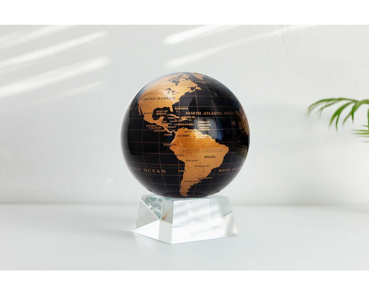 Black and Gold Globe