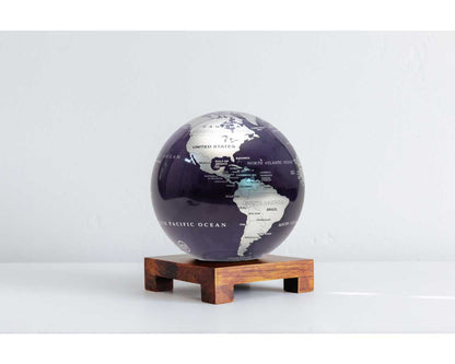 Purple and Silver Globe