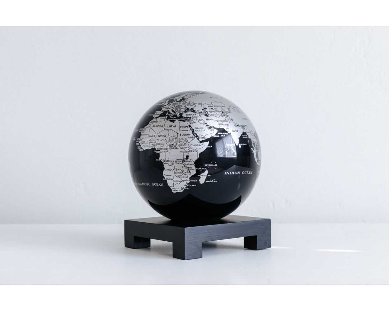 Black and Silver Globe