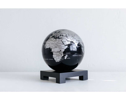 Black and Silver Globe