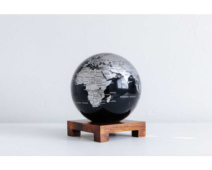 Black and Silver Globe