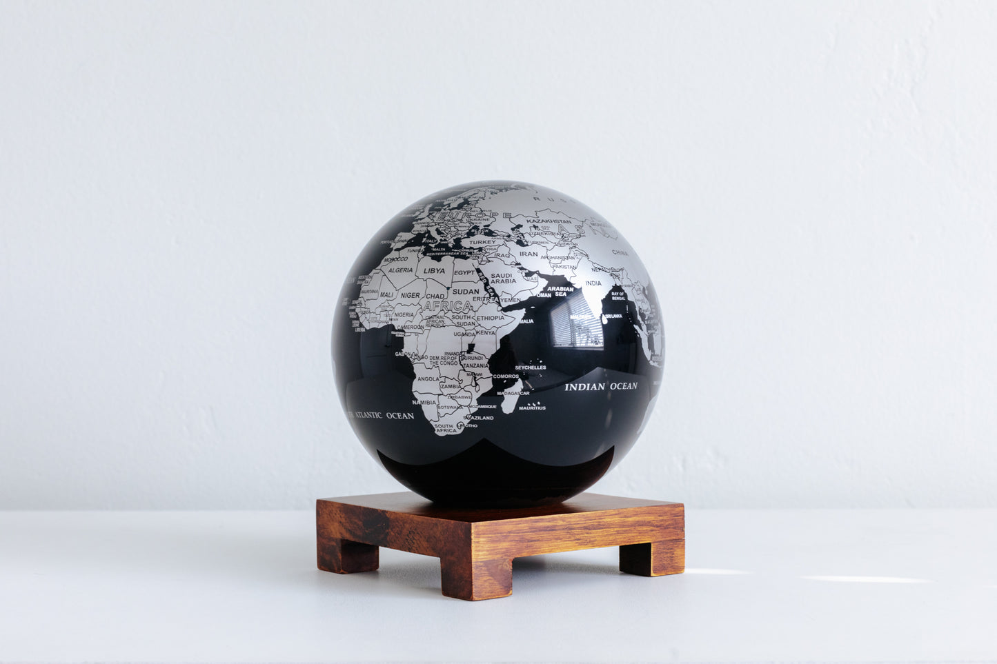 Black and Silver Globe