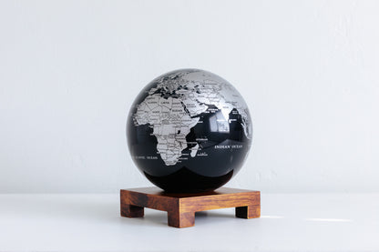Black and Silver Globe