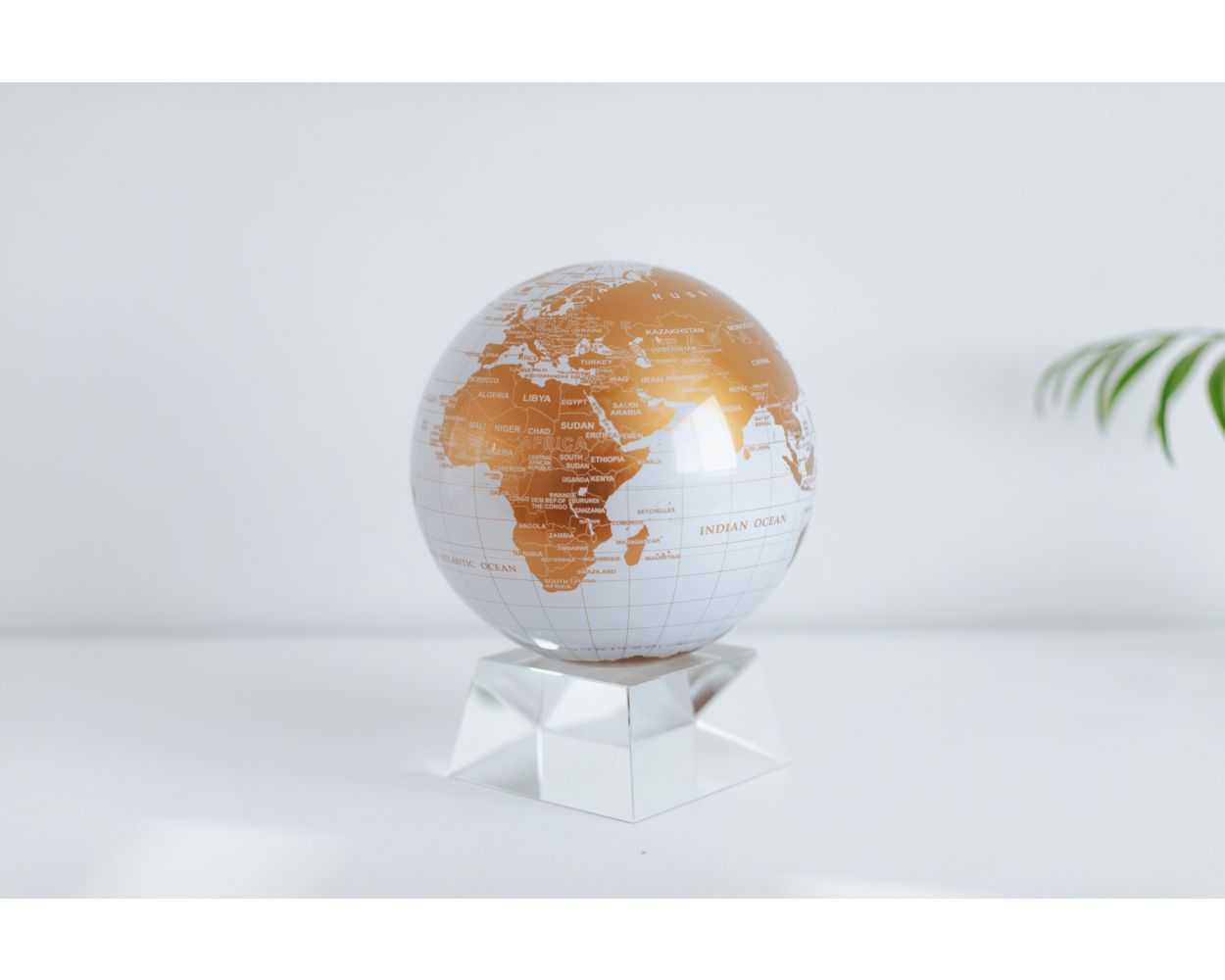 White and Gold Globe