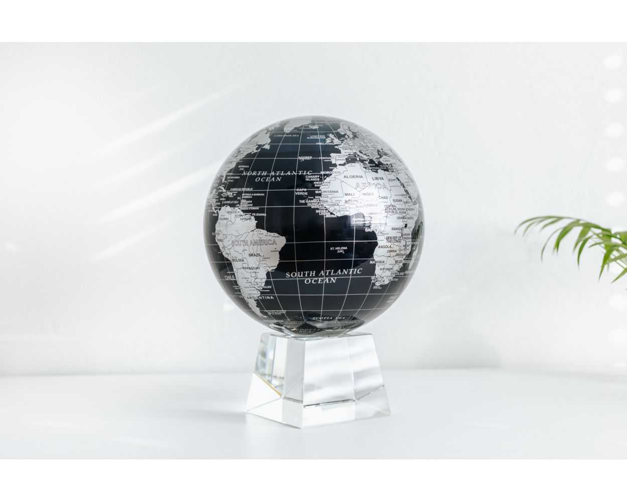 Black and Silver Globe
