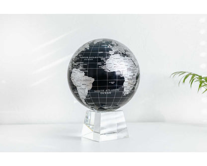 Black and Silver Globe