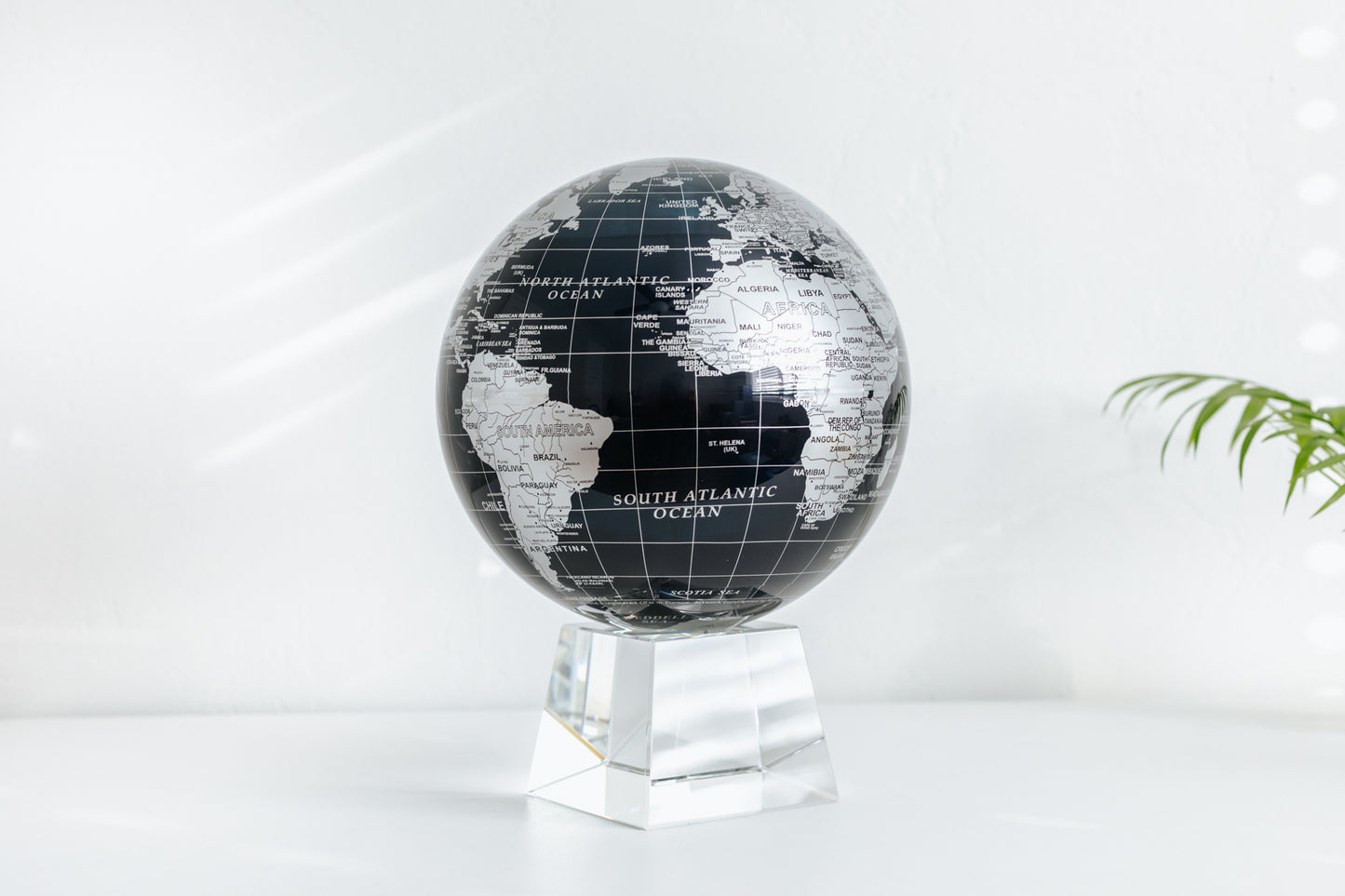 Black and Silver Globe
