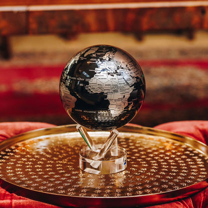 Black and Silver Globe