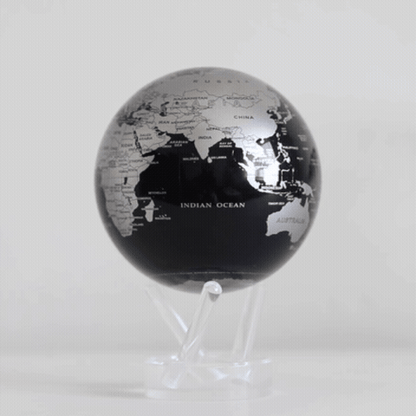 Black and Silver Globe