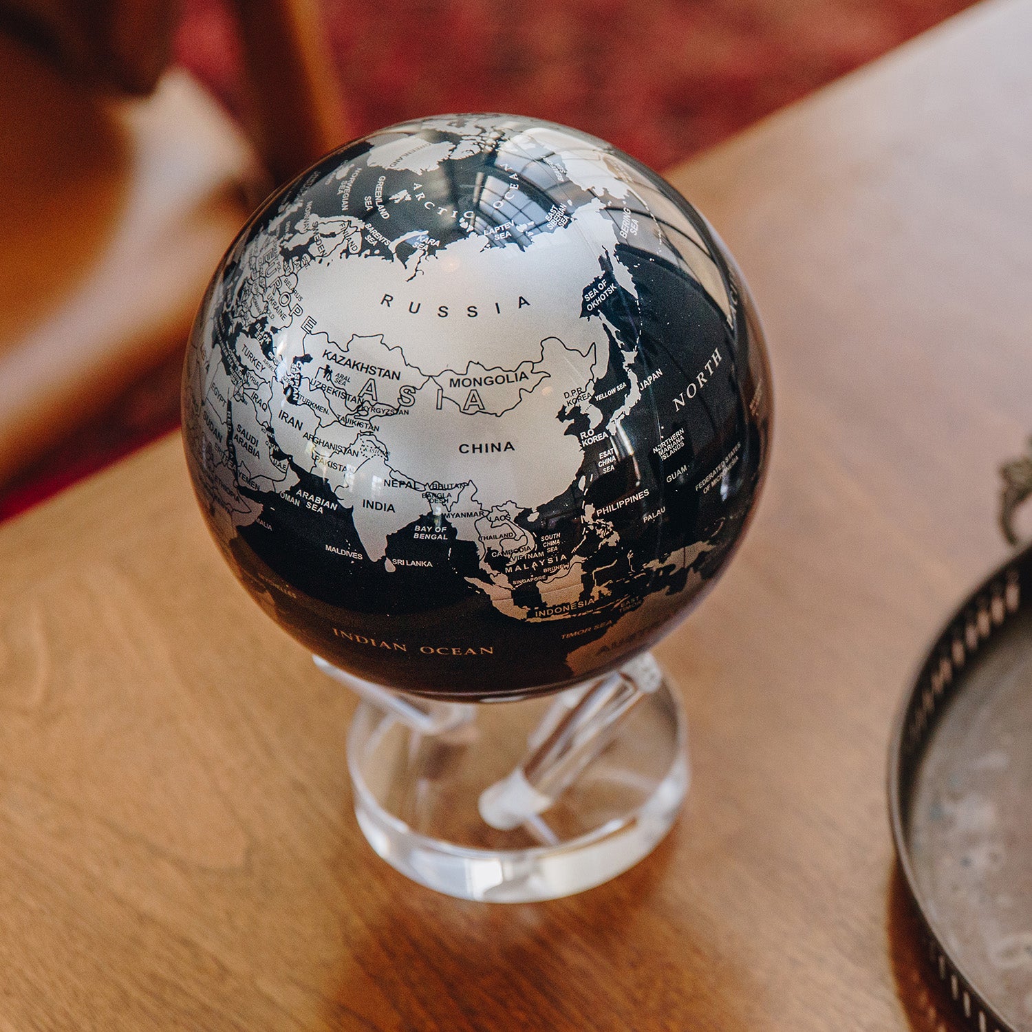 Black and Silver Globe