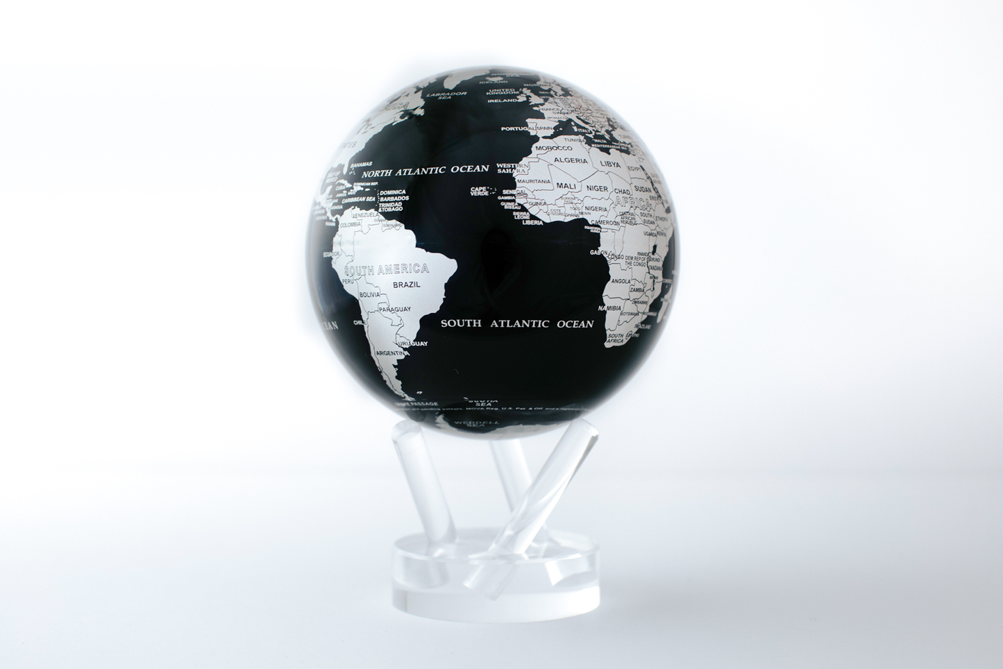 Black and Silver Globe