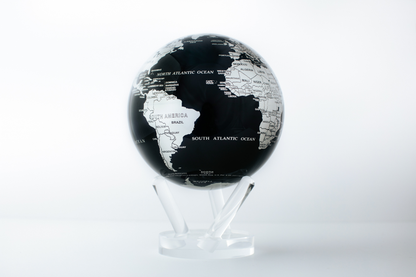 Black and Silver Globe