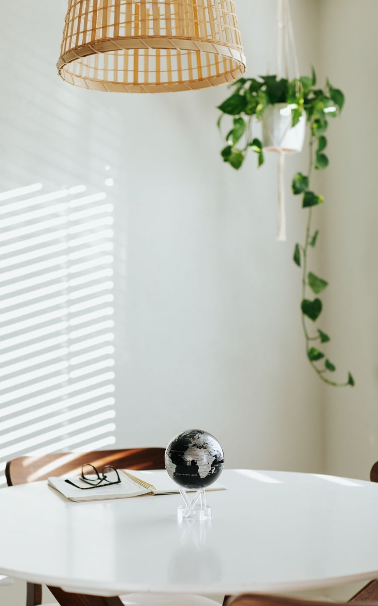 Black and silver globe on table